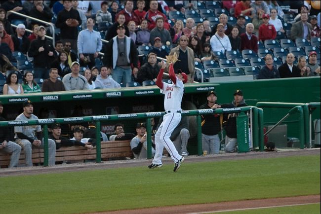Baseball player catching a ball