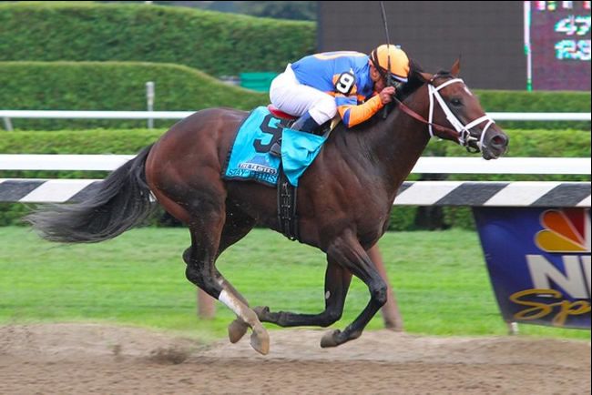 Racehorse 